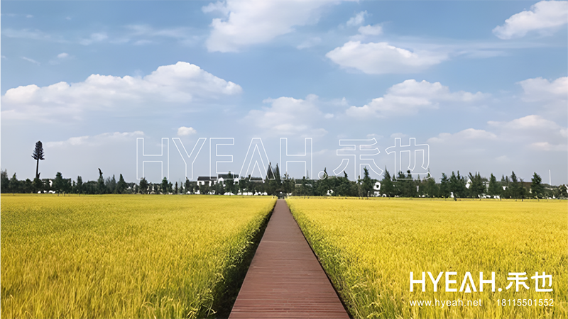 吴中区横泾特色婚俗馆